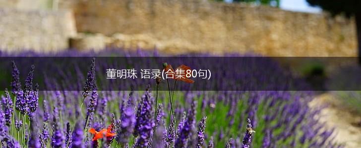 董明珠 语录(合集80句),第1张