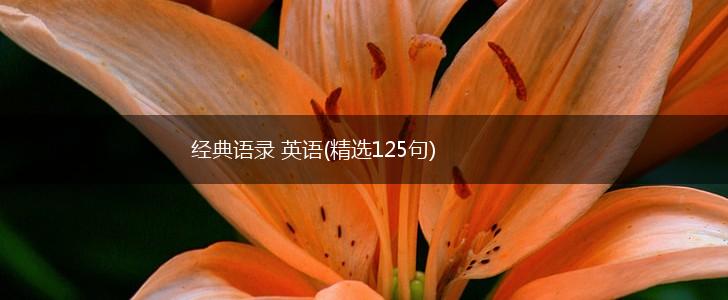 经典语录 英语(精选125句),第1张