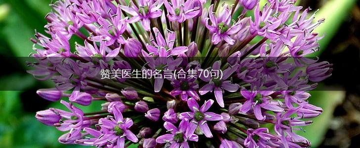 赞美医生的名言(合集70句),第1张 赞美医生的名言(合集70句),第1张