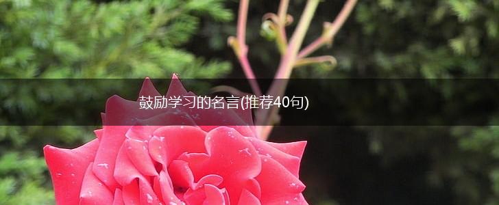 鼓励学习的名言(推荐40句),第1张