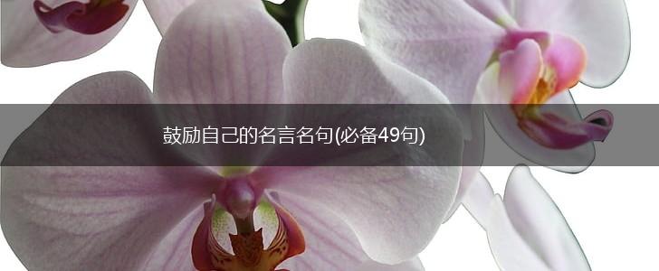 鼓励自己的名言名句(必备49句),第1张