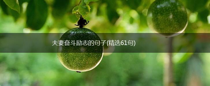 夫妻奋斗励志的句子(精选61句),第1张