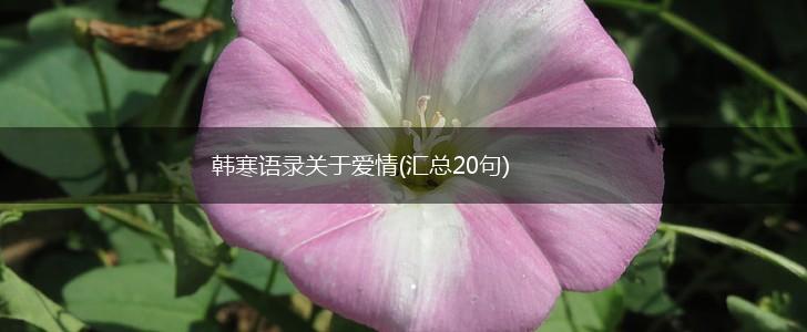 韩寒语录关于爱情(汇总20句),第1张