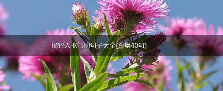 形容人抠门的句子大全(合集40句),第1张
