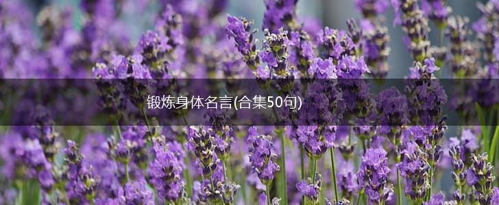 锻炼身体名言(合集50句),第1张 锻炼身体名言(合集50句),第1张