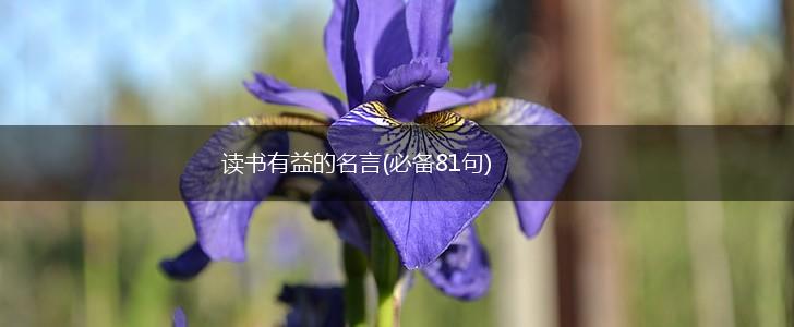 读书有益的名言(必备81句),第1张