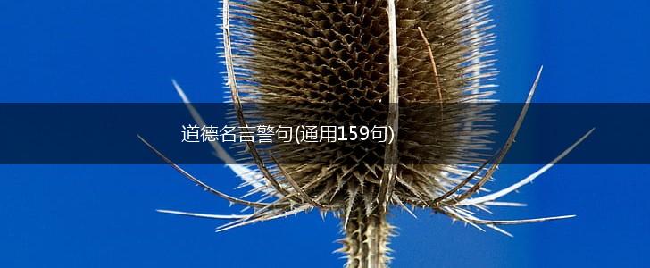 道德名言警句(通用159句),第1张 道德名言警句(通用159句),第1张