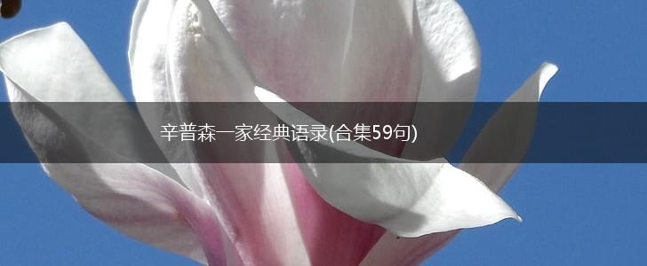 辛普森一家经典语录(合集59句),第1张