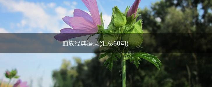 血族经典语录(汇总60句),第1张