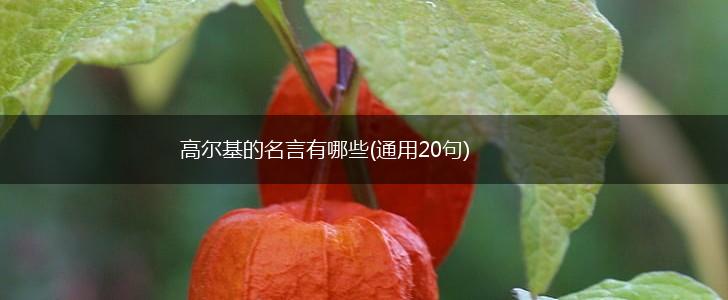 高尔基的名言有哪些(通用20句),第1张