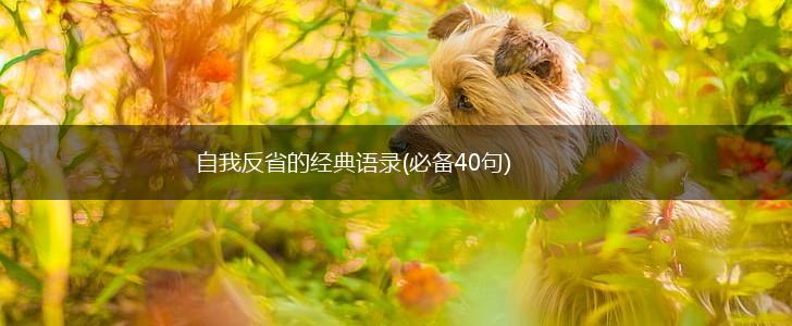 自我反省的经典语录(必备40句),第1张