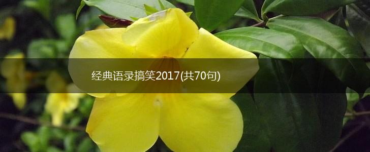 经典语录搞笑2017(共70句),第1张