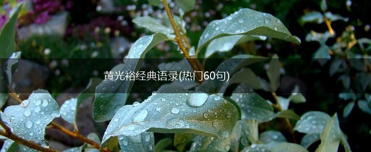 黄光裕经典语录(热门60句),第1张