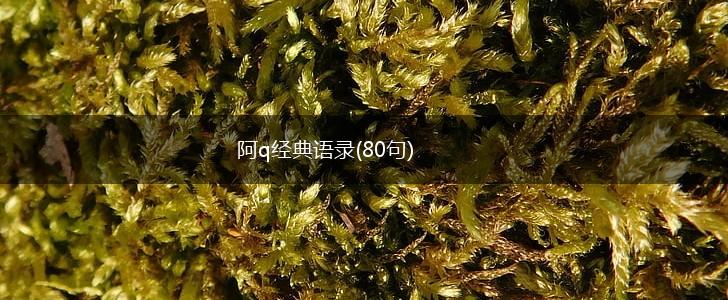 阿q经典语录(80句),第1张