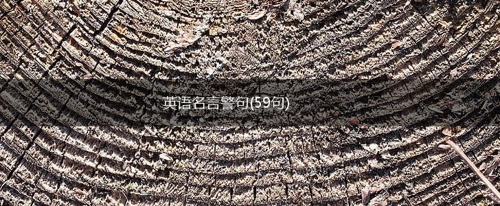 英语名言警句(59句),第1张