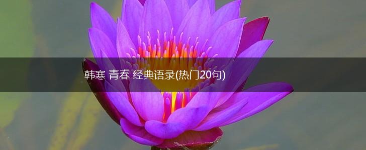 韩寒 青春 经典语录(热门20句),第1张