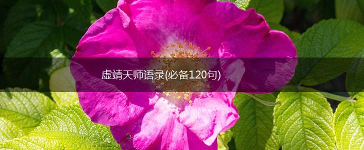 虚靖天师语录(必备120句),第1张