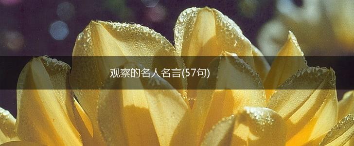 观察的名人名言(57句),第1张