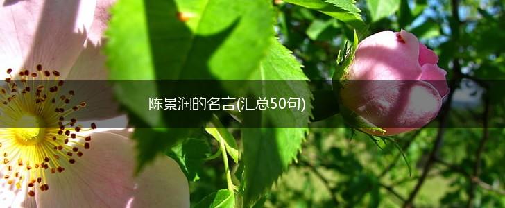 陈景润的名言(汇总50句),第1张