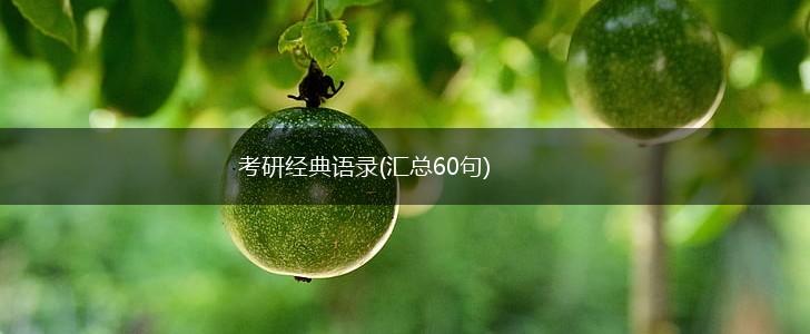 考研经典语录(汇总60句),第1张