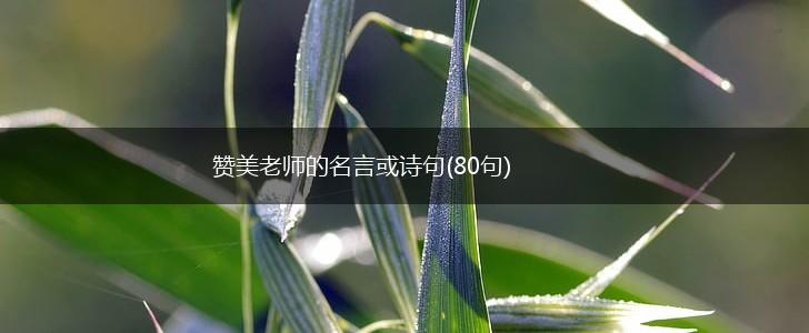 赞美老师的名言或诗句(80句),第1张 赞美老师的名言或诗句(80句),第1张