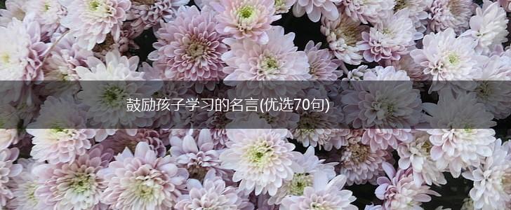 鼓励孩子学习的名言(优选70句),第1张