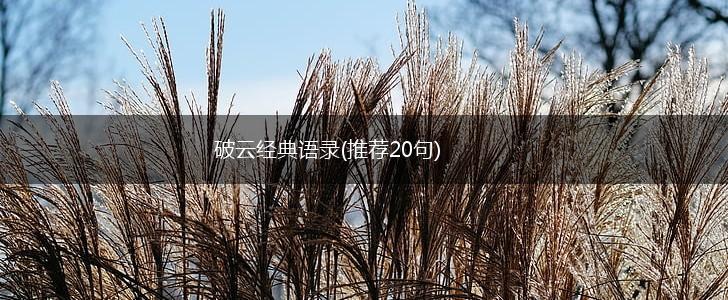 破云经典语录(推荐20句),第1张