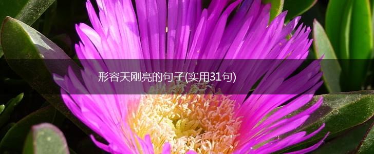 形容天刚亮的句子(实用31句),第1张