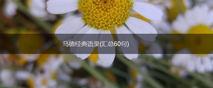 马德经典语录(汇总60句),第1张