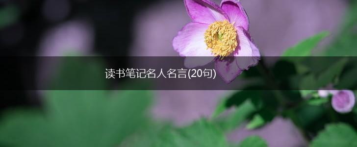 读书笔记名人名言(20句),第1张