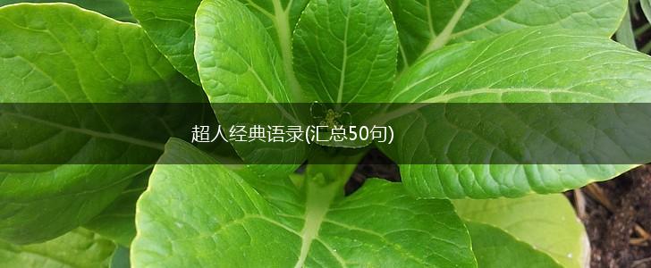 超人经典语录(汇总50句),第1张