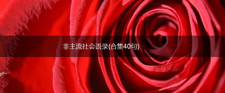 非主流社会语录(合集40句),第1张