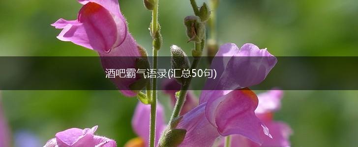 酒吧霸气语录(汇总50句),第1张