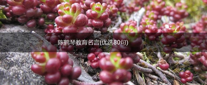 陈鹤琴教育名言(优选80句),第1张