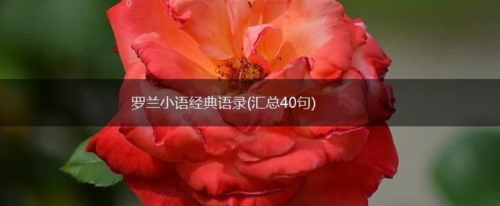 罗兰小语经典语录(汇总40句),第1张