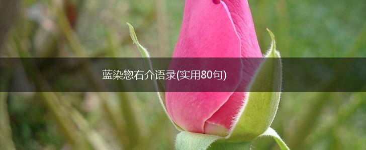 蓝染惣右介语录(实用80句),第1张