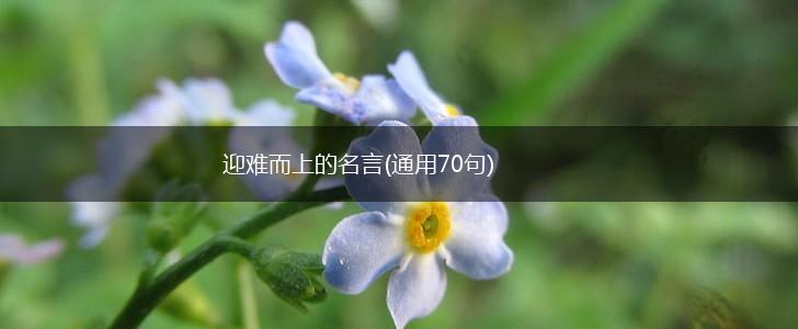 迎难而上的名言(通用70句),第1张