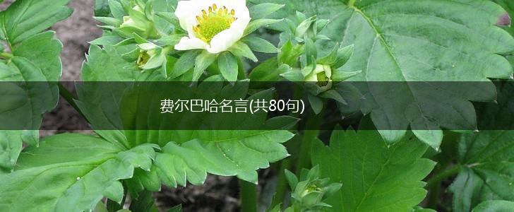 费尔巴哈名言(共80句),第1张