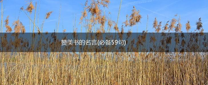 赞美书的名言(必备59句),第1张