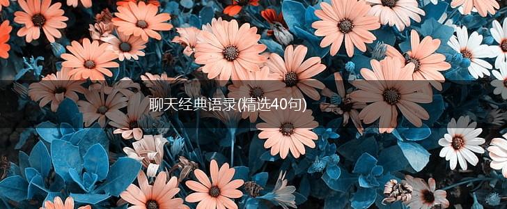 聊天经典语录(精选40句),第1张