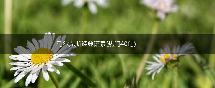 马尔克斯经典语录(热门40句),第1张