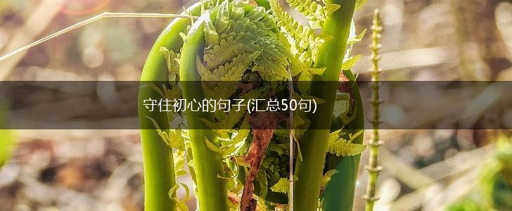 守住初心的句子(汇总50句),第1张
