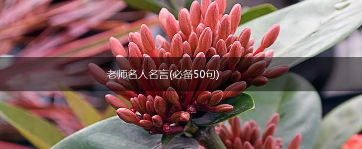 老师名人名言(必备50句),第1张