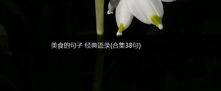 美食的句子 经典语录(合集38句),第1张
