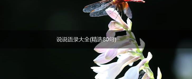 说说语录大全(精选80句),第1张