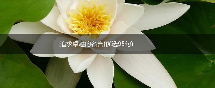 追求卓越的名言(优选95句),第1张 追求卓越的名言(优选95句),第1张