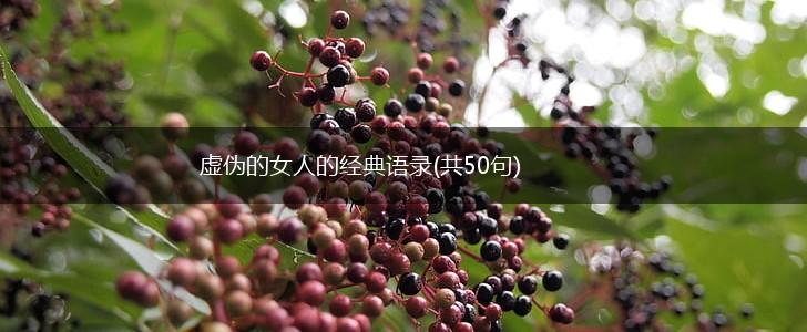 虚伪的女人的经典语录(共50句),第1张