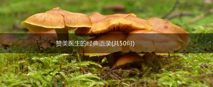 赞美医生的经典语录(共50句),第1张