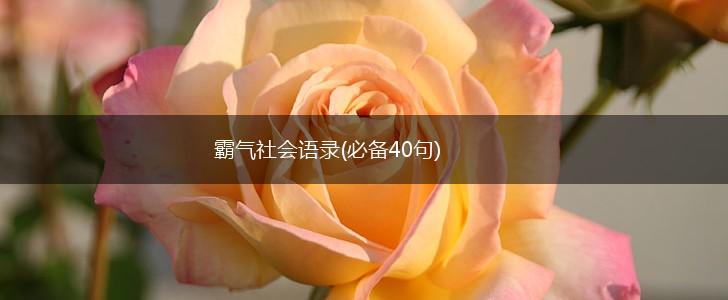 霸气社会语录(必备40句),第1张