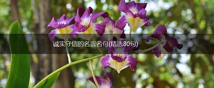 诚实守信的名言名句(精选80句),第1张 诚实守信的名言名句(精选80句),第1张